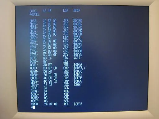 Disassembly listing on screen