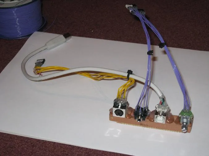 Rear port connector module with its cables