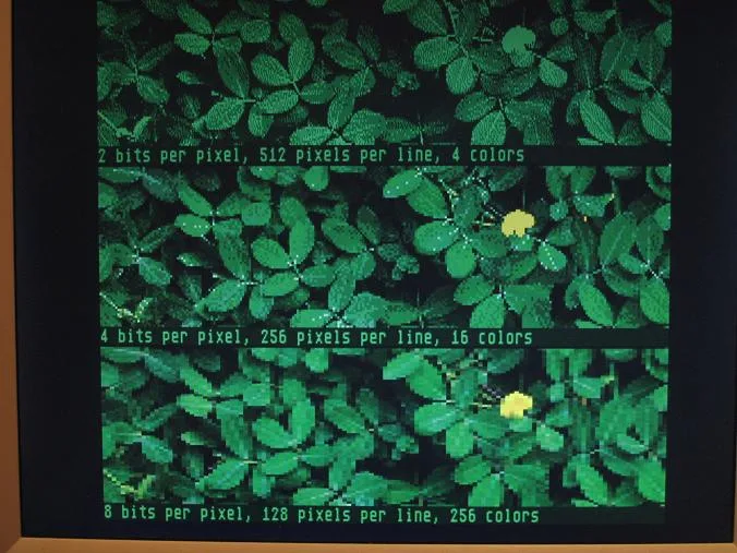Leaf photo shown at three color depths