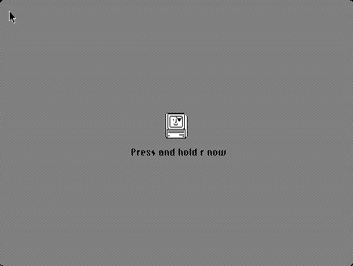 Mac startup screen: "Press and hold r now"