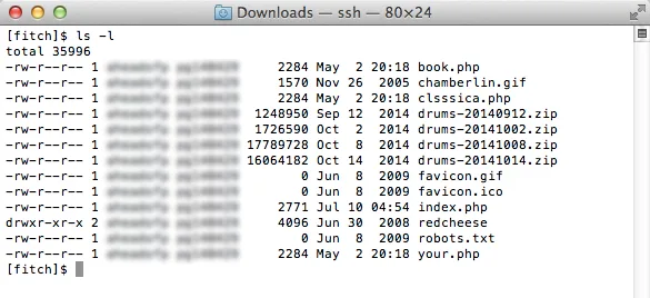 Files added by the hacker