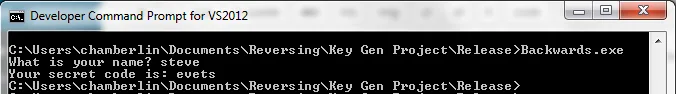 Running the program with the secret code