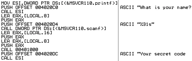 Disassembled code with strings