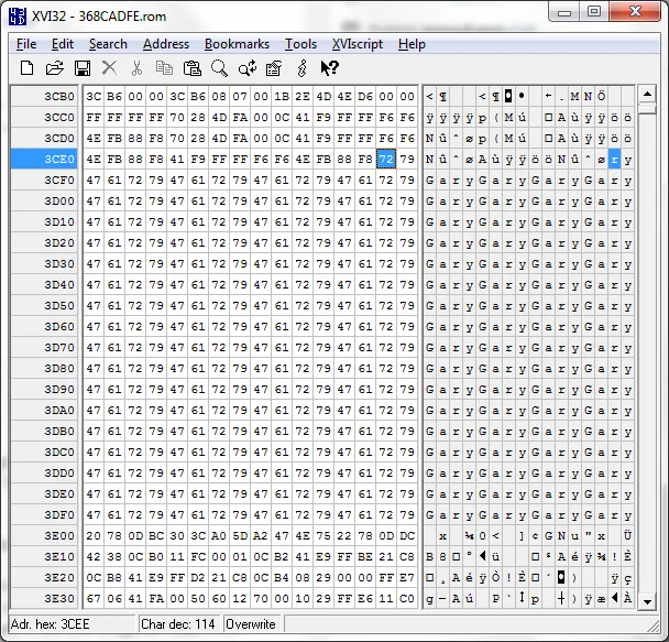 New code typed into the hex editor
