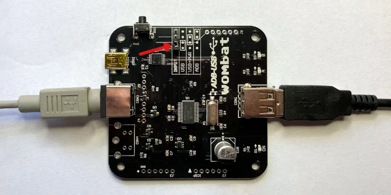Wombat with USB input connected