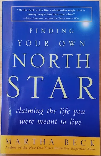 Finding Your Own North Star book