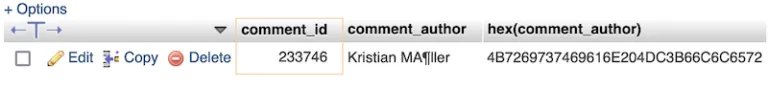 Database comment with garbled characters