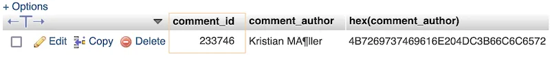 Database comment with garbled characters