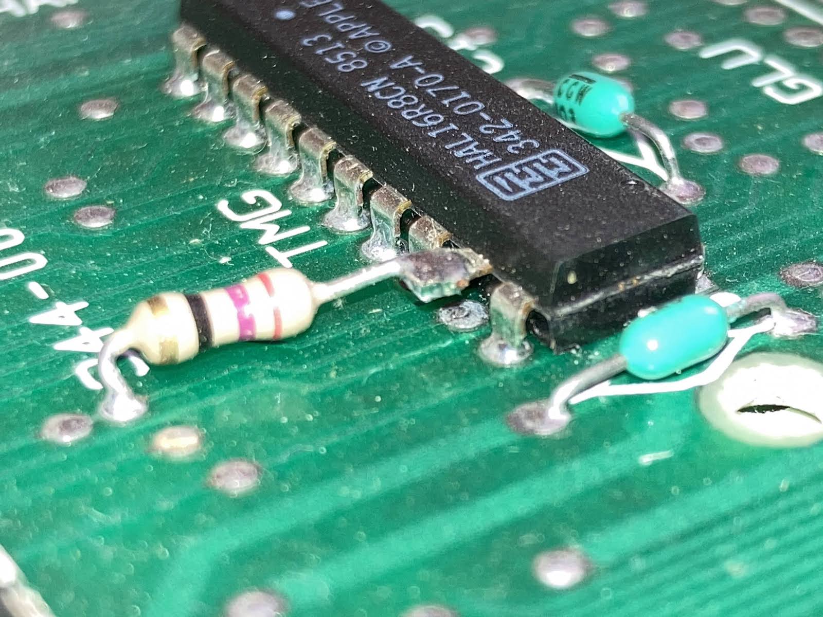 TMG close-up