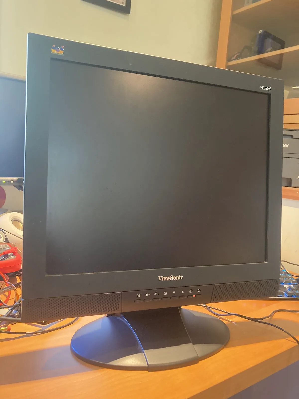 Viewsonic VG900b with a blank screen