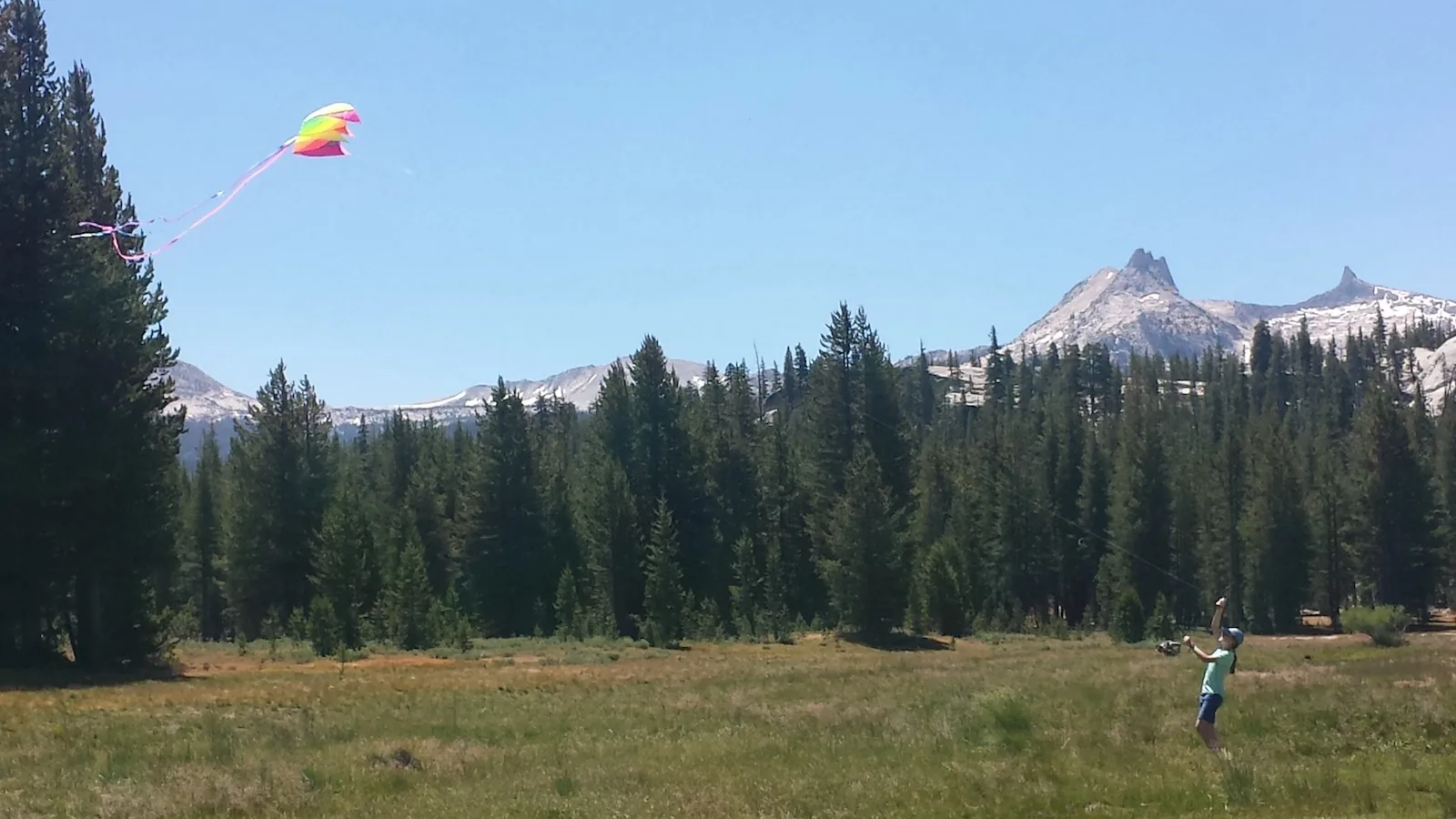 Kite flying over a mountain meadow